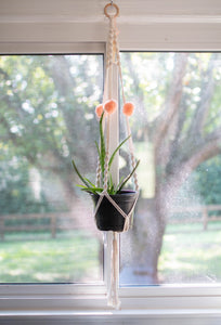 Boho Style Macrame Hanging Planter with Apricot Pom Poms